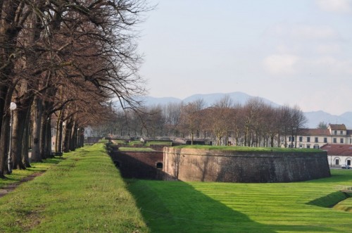 Lucca - la muraglia lucchese....
