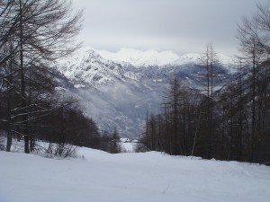 in mezzo alla neve