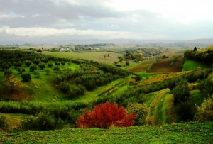 Sulle vie del Chianti, i colli fiorentini a Malmantile