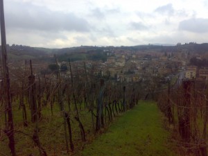 Asciano al di là delle frasche