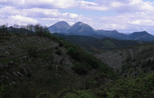 Roiate - Una veduta originale Roiate - Una veduta originale