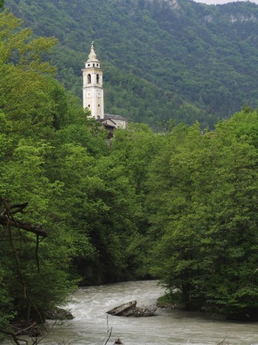 Cartignano - Dal bosco svetta il campanile, Cartignano, Cuneo Cartignano - Dal bosco svetta il campanile, Cartignano, Cuneo