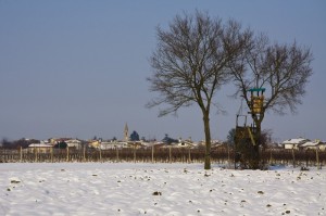 Panorama di Carlino con sole e neve