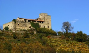 il castello di lusuolo