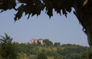 Castello di Monti II