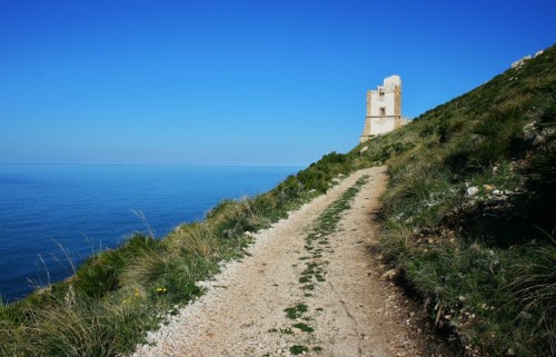 Custonaci - dopo tanto cammino.......la torre!