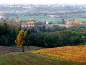 Vista sulle colline reggiane