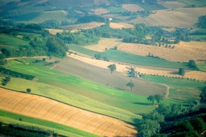 Il giardino di tanti colori