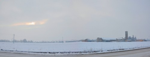 Siziano - Campagne candide a Siziano Siziano - Campagne candide a Siziano