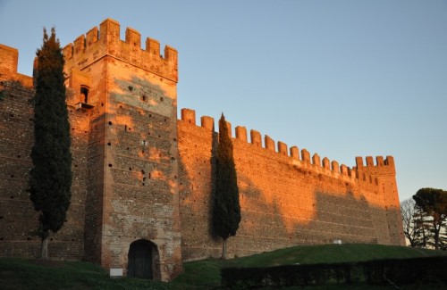 Villafranca di Verona - Quasi abbronzato Villafranca di Verona - Quasi abbronzato