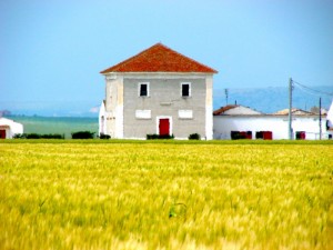 Campagna Foggiana