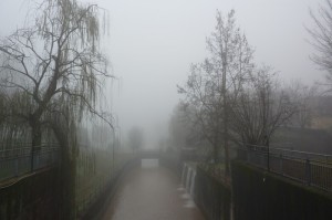 Ohhh…. Nebbia nel Parco !!!!
