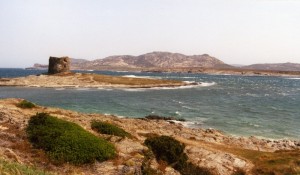 Torre della Finanza e isola dell’Asinara da Capo Falcone