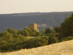 CASTELLODI SEPPIE VEDUTA LUGLIO AL RAMONTO