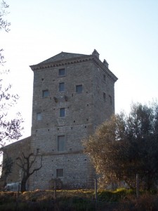 Torre Santa Caterina da Sud Est