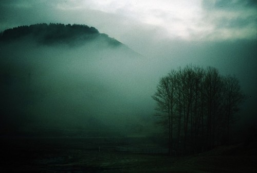 Floresta - Nebbia alle 5.00