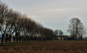 Cascina verso Travagliato