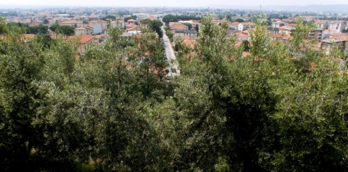 Fucecchio - Fucecchio, vista dal piazzale della chiesa. Fucecchio - Fucecchio, vista dal piazzale della chiesa.