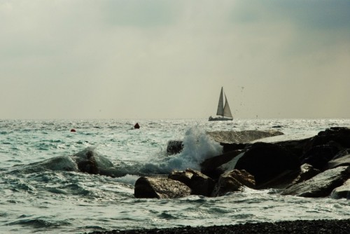 Lavagna - veleggiando in mare Lavagna - veleggiando in mare