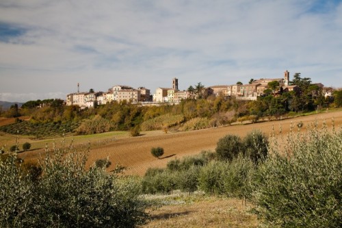 Maiolati Spontini - Maiolati