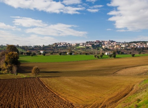 Castelfidardo - Castelfidardo Castelfidardo - Castelfidardo