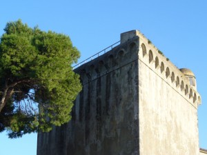 Particolare Torre del Forte delle Saline