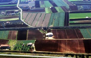 Le geometrie della Pianura Pontina