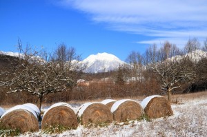 Panorama del monte Teverone