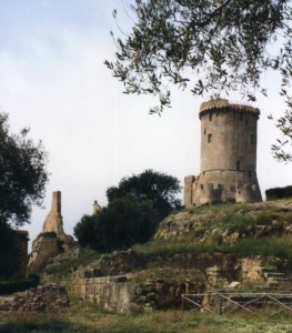 Velia: torri e rovine qua e là tra gli ulivi