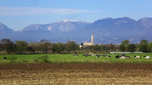 Montecchio Precalcino - Riposo invernale Montecchio Precalcino - Riposo invernale