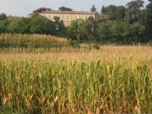 Campagna della Brianza