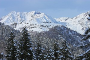 Candore all’Alpe Pizzo