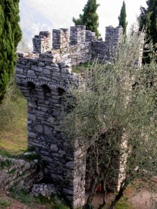 Un  prato sulla torre