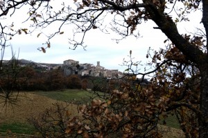 Tra gli alberi un gioiello