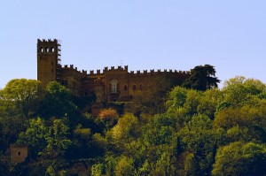 Il castello di Camino