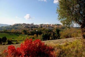 Circondato da colori…………..