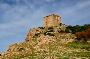 Porto Selvaggio - la Torre dell’Alto
