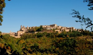 Panorama nel verde