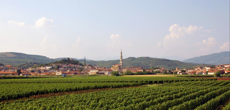 ''Monteforte d’Alpone - Panorama'' - Monteforte d'Alpone
