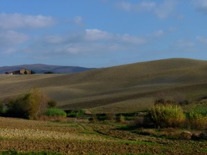 Ondulazioni pisane