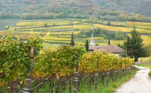 Termeno sulla Strada del Vino - Autunno in Alto Adige Termeno sulla Strada del Vino - Autunno in Alto Adige