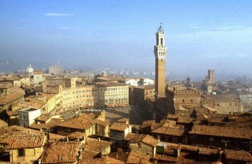 Siena - Siena magnifica nella sua luce d'oro