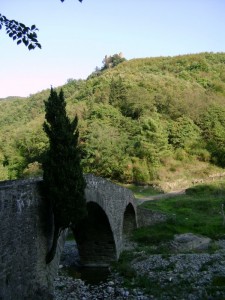 Il ponte ed il pino!