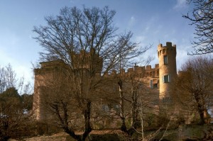Nel bosco spunta un castello