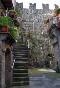 Le Mura Viste da Dentro Vitorchiano
