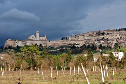 Assisi - Assisi e il sacro convento visti dai piedi della mattonata