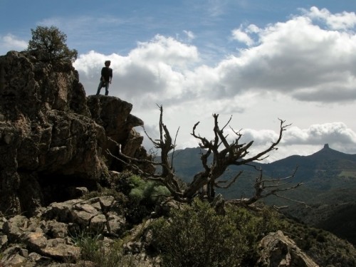 Arzana - Pirincanes Arzana - Pirincanes