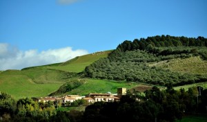 Fontana Murata, Favola Agreste!