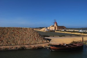 “Natural Photography”