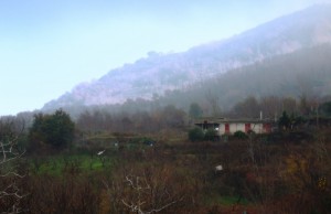 Parco Nazionale del Vesuvio